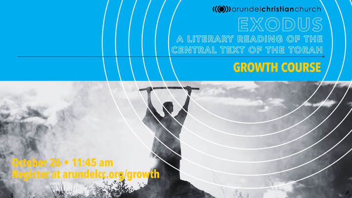 Logo for Exodus: a literary reading of the central text of the Torah