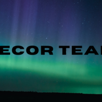 Logo for Decor Team