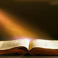 Proverbs 31 Women in Training