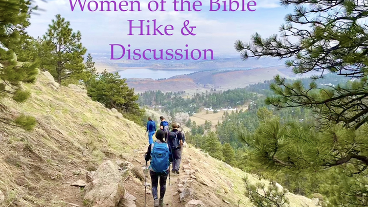 Logo for Biblewise // Women's Bible Study