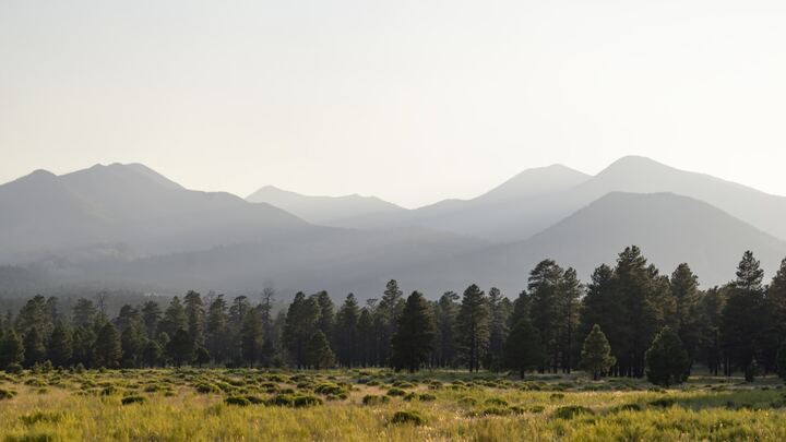 Logo for Grace Group @ The Lee’s