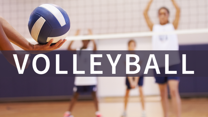 Logo for Family Volleyball