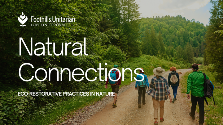 Logo for Natural Connections