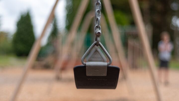 Logo for Swing Set Society