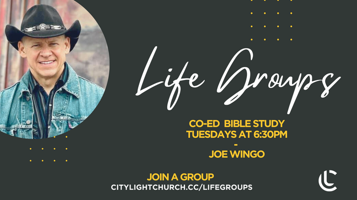 Logo for Co-Ed Bible Study / Wingo