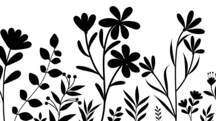 Logo for Growing In Grace Women's Group