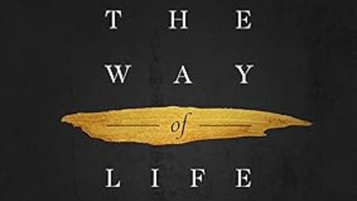 Logo for Spring R-Life: The Way of Life