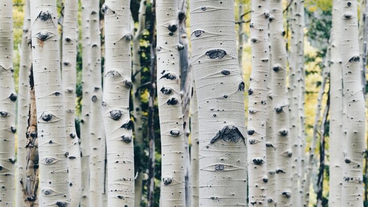 Logo for Grace Group @ The Anderson's