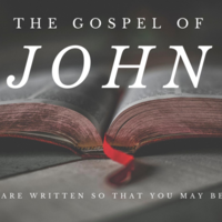 Logo for John Bible Study
