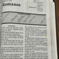 Logo for Carta a Romanos