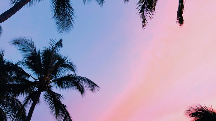 Logo for Oasis for the Ageless @ Room 141