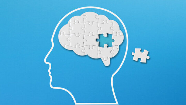 Logo for Puzzle Group