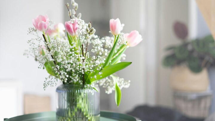 Logo for Widows Group