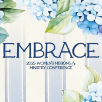 Logo for Embrace Volunteer Group