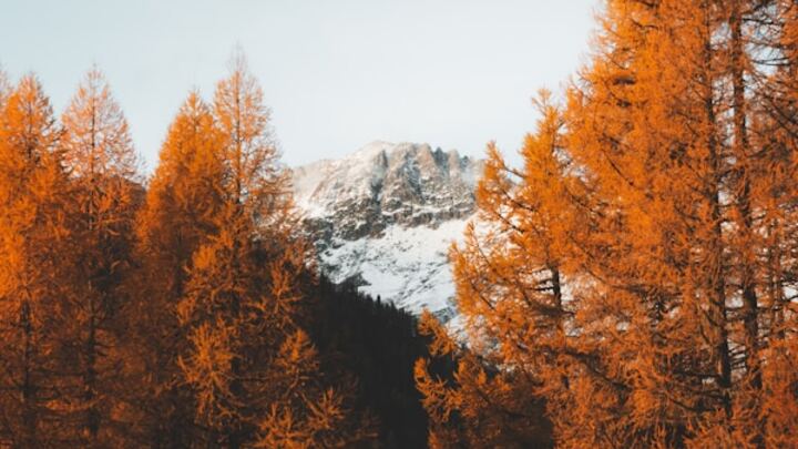 Logo for Women's Outdoor Group