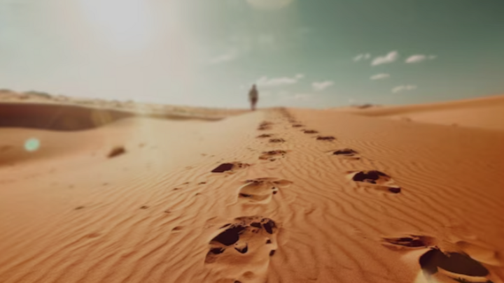 Logo for Huellas de Vida