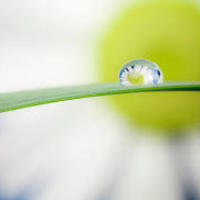 Stretching Your Faith: Yoga & Discipleship
