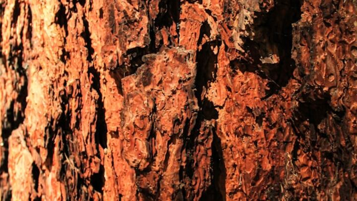 Logo for Grace Group @ The Smiths