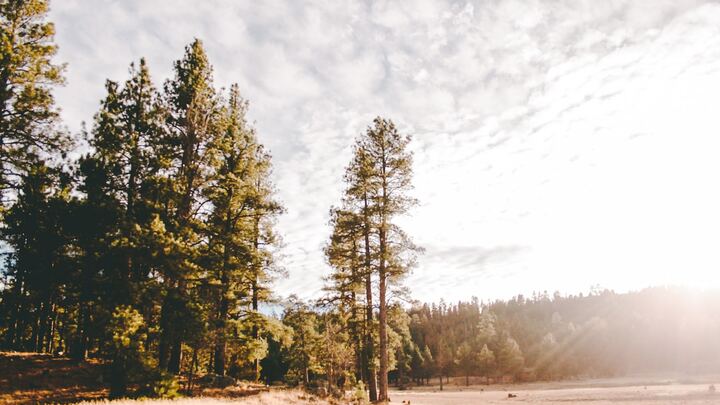 Logo for Grace Group @ The Harmon's