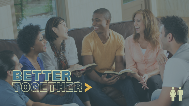 Logo for Mixed Adult Sermon Study Group - Renninger