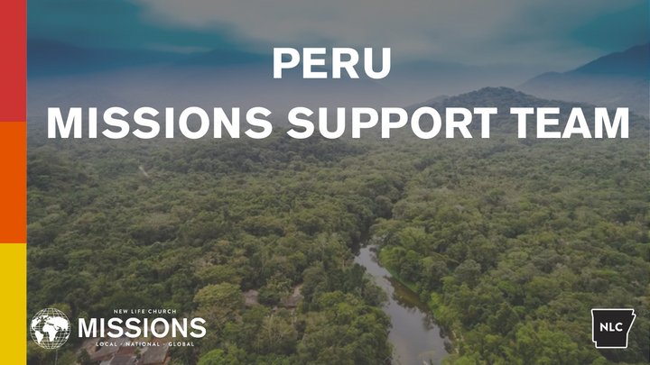 Logo for SERVE: Missions Support Team