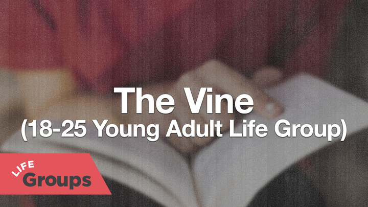 Logo for The Vine (18-25 Young Adult Life Group)
