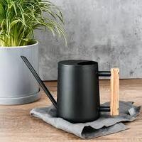 Logo for Indoor Plant Watering Team