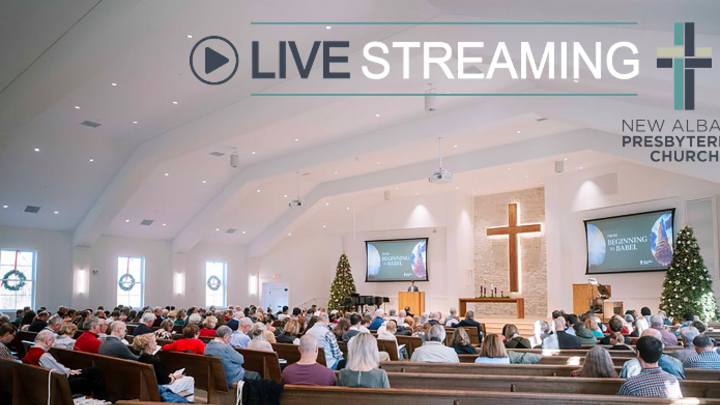 Logo for NAPC Live Stream