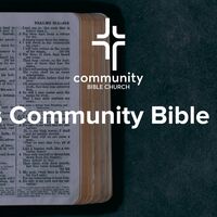 Logo for Men's Community Bible Study