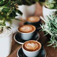 Logo for Coffee Club Ladies Highfields