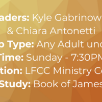 Logo for Any Adult (Young Adult under 35) - Gabrinowitz/Antonetti