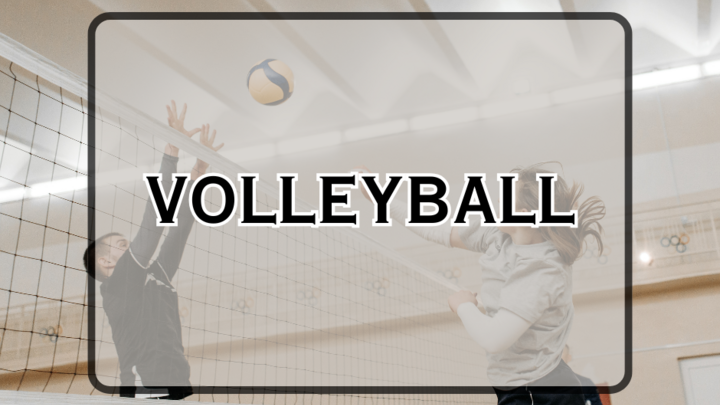 Logo for Volleyball Group