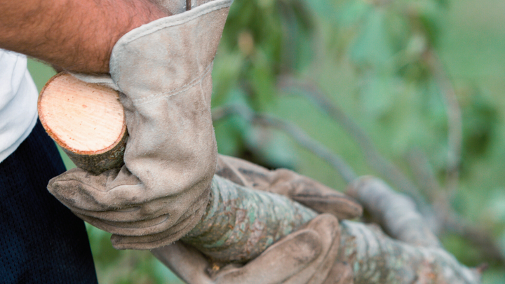 Logo for The Crew - Yard Clean Up & Projects