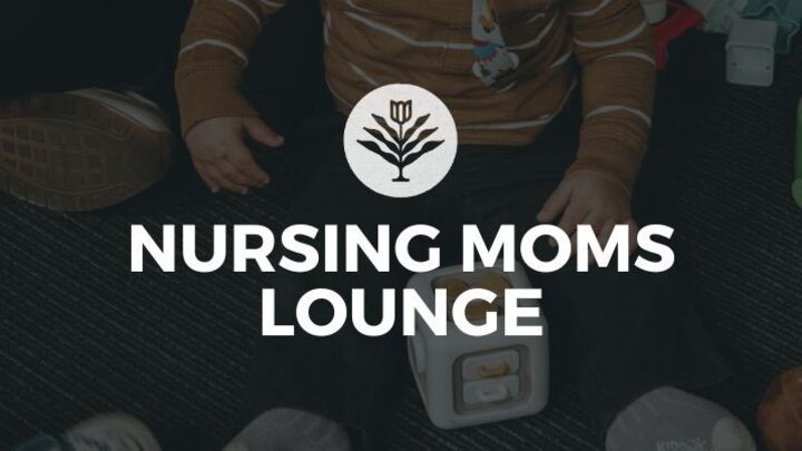 Logo for Nursing Moms Lounge Team