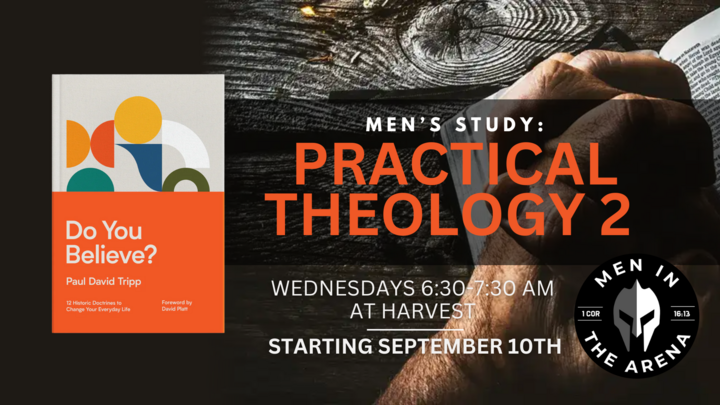 Logo for Men's Leadership Development - Practical Theology 2