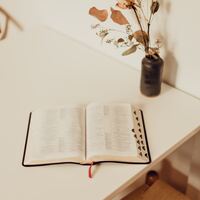 Logo for Abide Young Women’s Bible Study