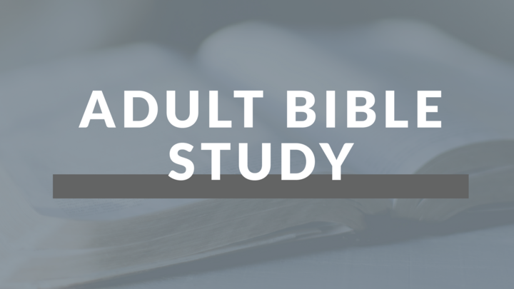 Logo for Adult Bible Study