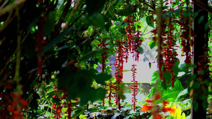 Logo for High School Girls