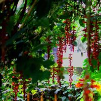 Logo for High School Girls