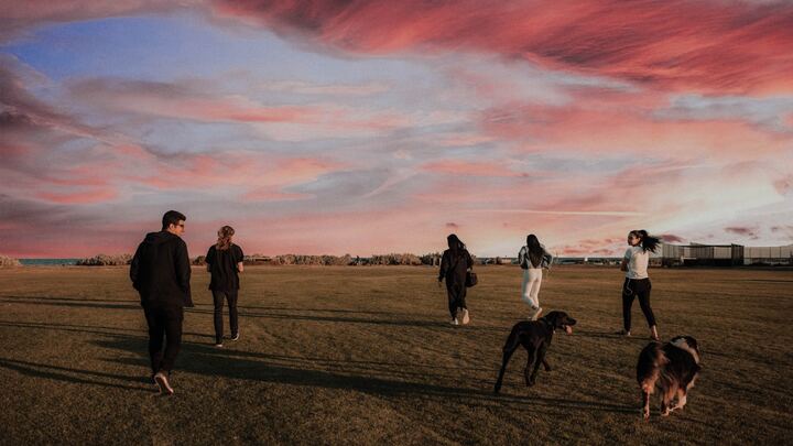 Logo for Paws & Praise Dog Park group