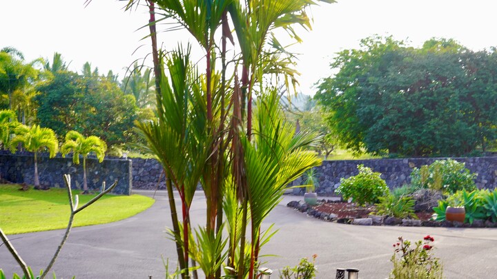 Logo for Hawaii - Kailua-Kona (Big Island)