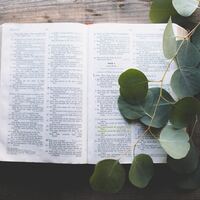 Logo for Seniors Group