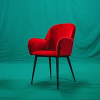 Logo for Chair Cleaning Team