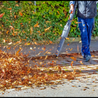 Logo for BF Parking Lot Blowing Crew