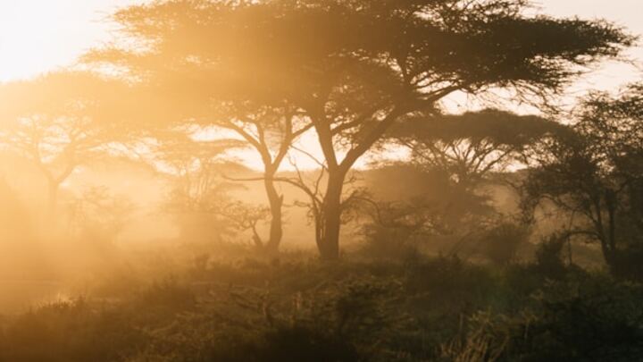 Logo for Life Group | McPharlin, Willey, Cisneros