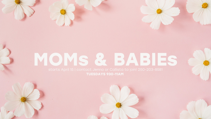 Logo for Moms and Babies