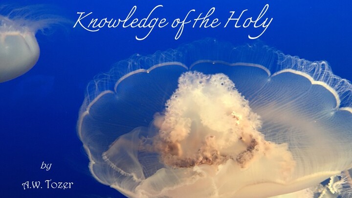 Logo for BE STILL AND KNOW I AM GOD ~ "Knowledge of the Holy"