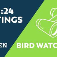 Logo for 10:24 - Bird Watching