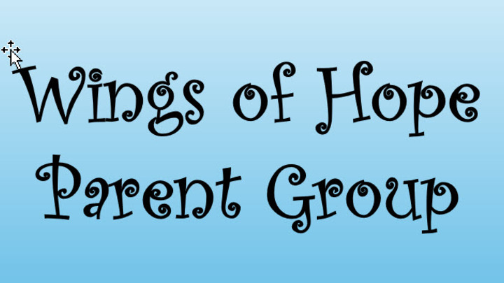 Logo for Special Needs Parents Group