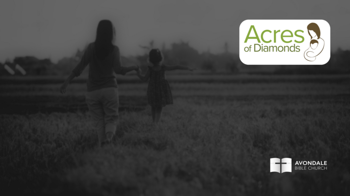 Logo for Acres of Diamonds Team